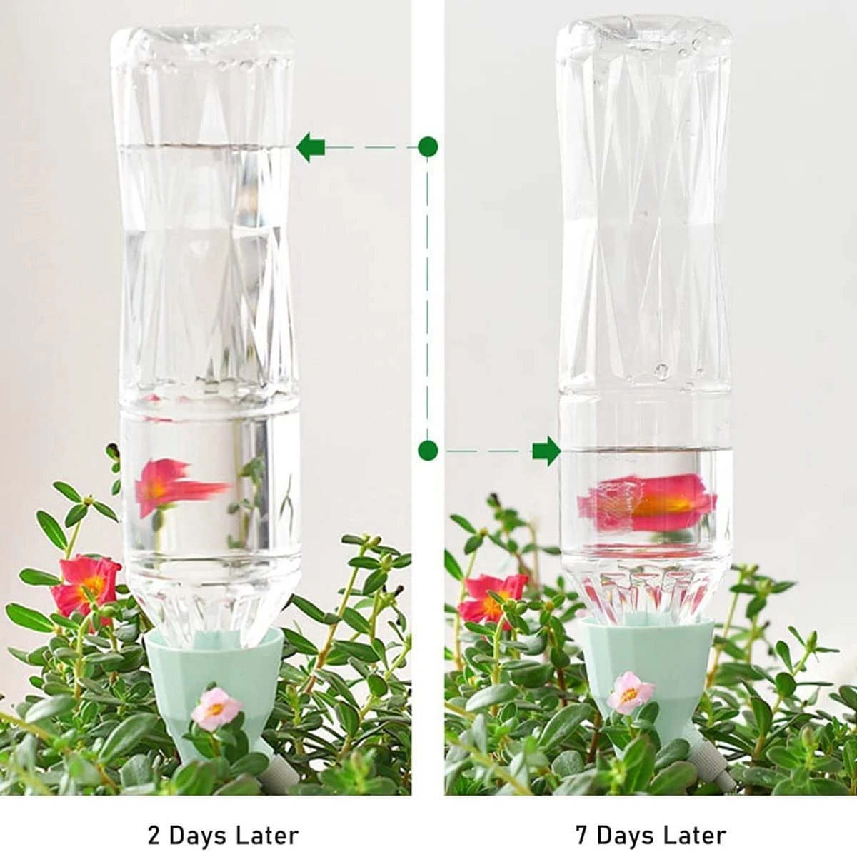 BOTC Waterdruppelaar Set Van 6 Stuks Voor Planten - Watergeefsysteem - Afbeelding 5