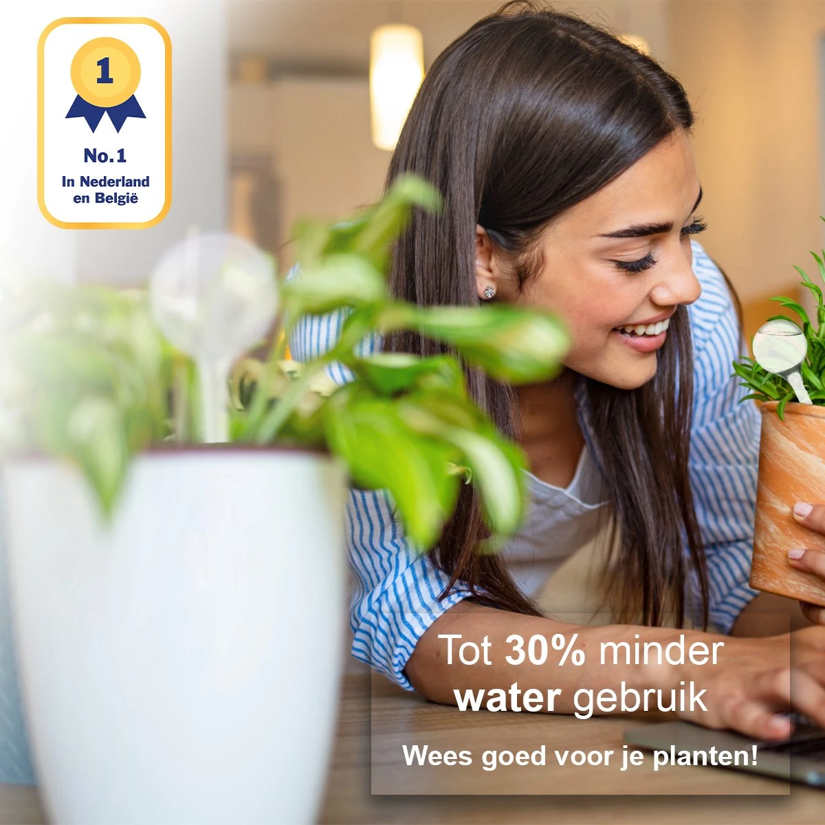 Waterdruppelaar Set Van 6 Stuks - Waterdruppelaar Voor Planten - Watergeefsysteem - Waterbol Irrigatiesysteem - Automatisch Druppelsysteem Voor Kamerplanten & Tuin - Watergever - Doorzichtig - 15cm - Afbeelding 2