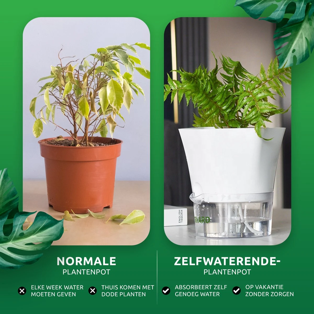 SKYARD® 3 Stuks Zelfwaterende Bloempot Maat M – Milieuvriendelijk Watergeefsysteem Kamerplanten – Zelfwatergevende Pot – Bloempot Met Waterreservoir – Selfwatering Pot – Wit - Afbeelding 4