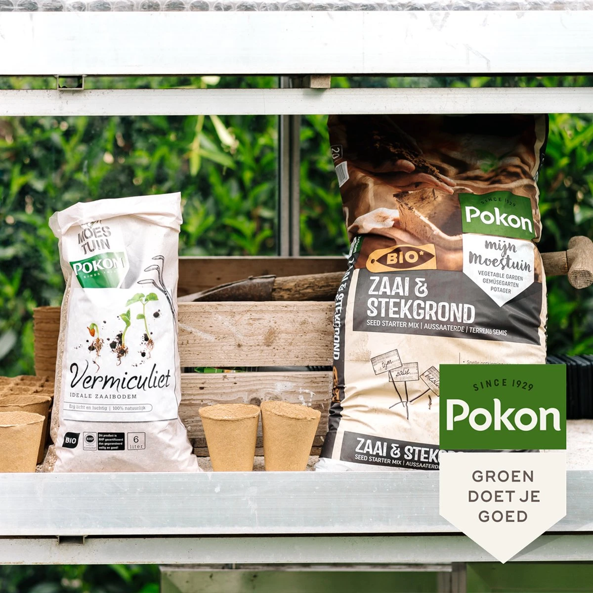 Pokon Bio Vermiculiet - 6l - 100% Natuurlijk - Ideale Zaaibodem - Afbeelding 5