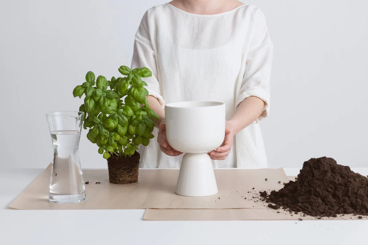 Iittala Nappula - Bloempot - Bloempotten Voor Binnen En Buiten - Plantenpotten - Wit - 230 X 155 Mm - 1 Stuk - Afbeelding 11