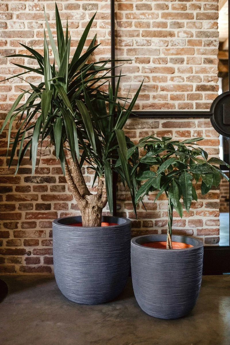 Capi Europe - Bloempot Bol Rib NL - 35x34 - Zwart - Voor Binnen En Buiten - KBLR932 - Afbeelding 4