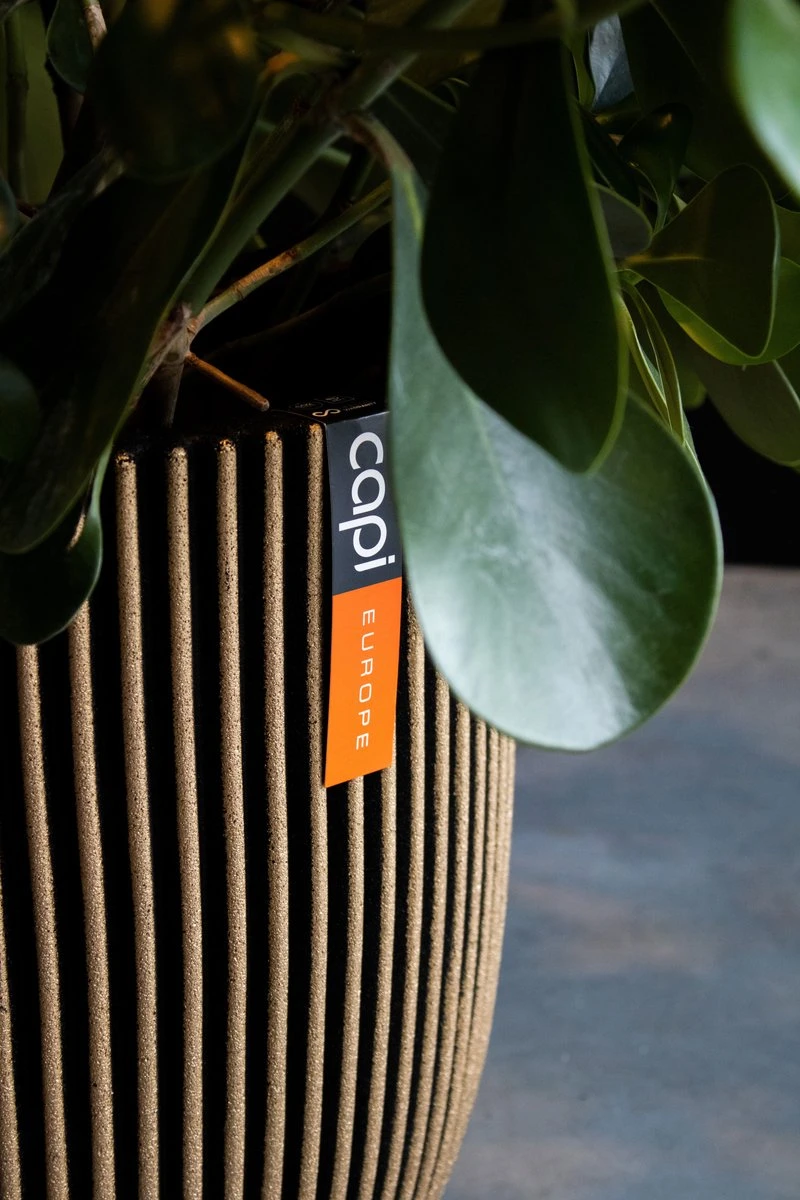 Capi Europe - Bloempot Bol Groove NL - 43x41 - Zwart - Voor Binnen En Buiten - KGVBL933 - Afbeelding 2