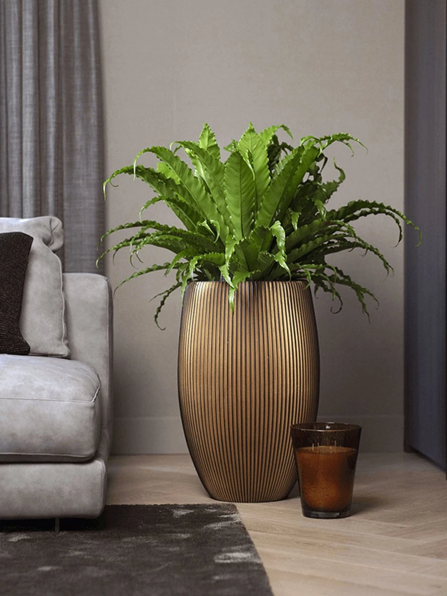 Capi Europe - Vaas Elegant Deluxe Groove XL - 40x61 - Goud - Bloempot Voor Binnen - Opening ⌀29 - GVGB1131 - Afbeelding 2