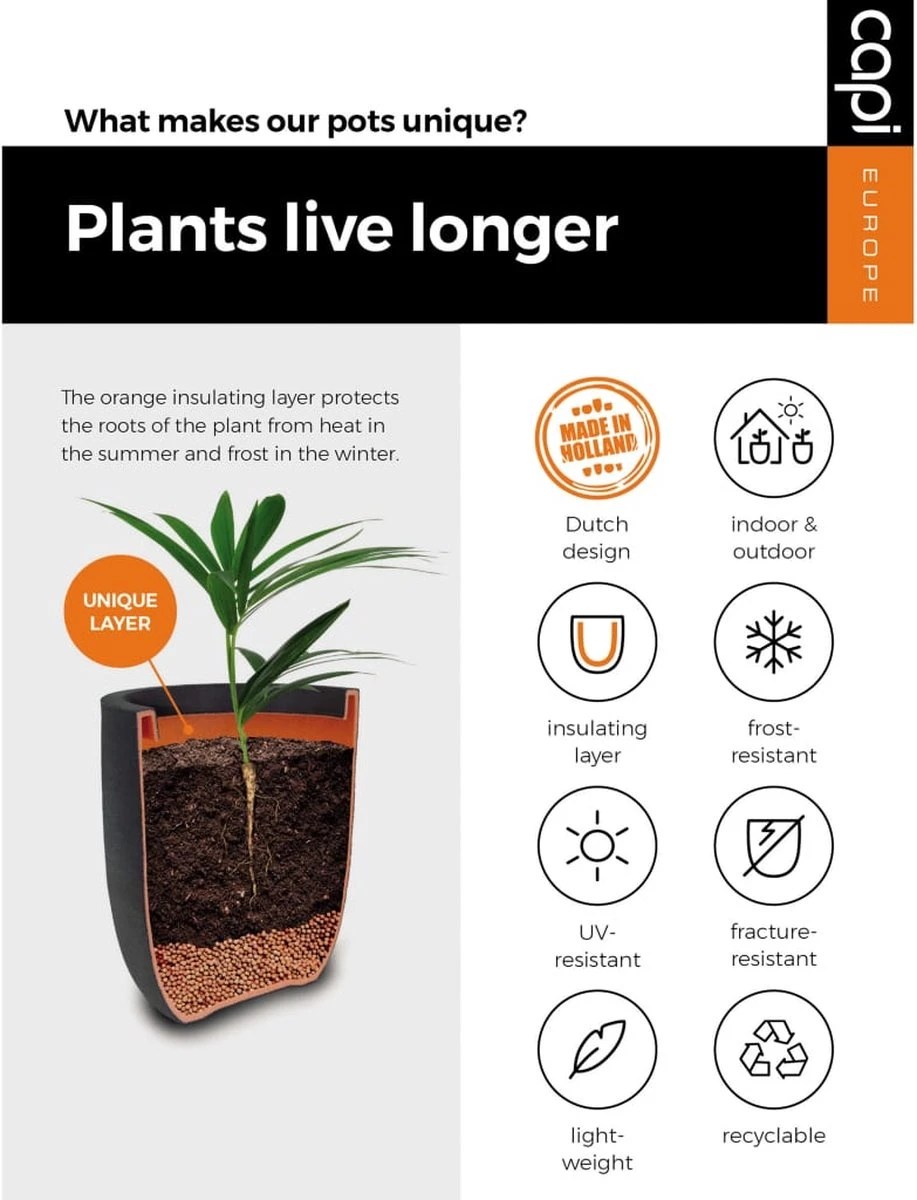 Capi Europe - Vaas Elegant Laag Smooth NL - 26x36 - Zwart - Voor Binnen En Buiten - KBL781 - Afbeelding 5